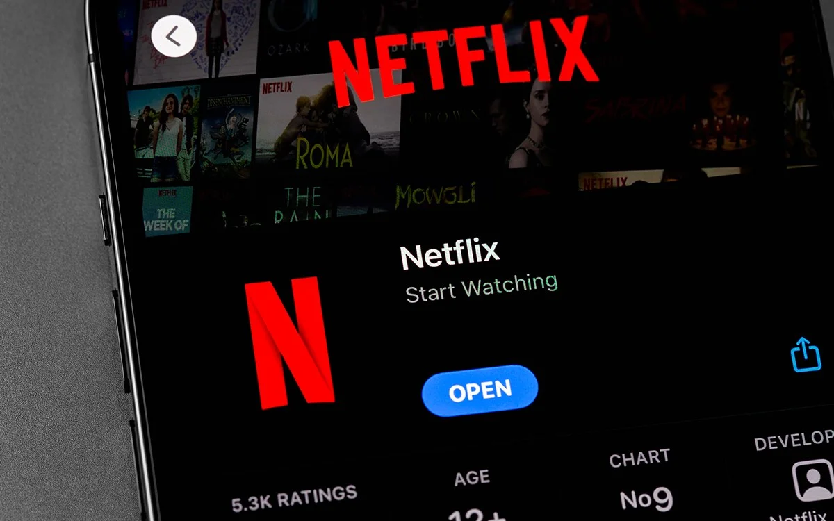 types de bugs sont fréquemment rencontrés sur Netflix types de bugs sont fréquemment rencontrés sur Netflix